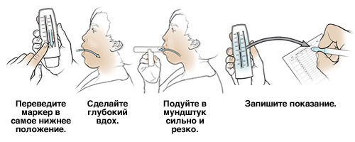 5 шагов, позволяющих использовать пикфлоуметр.